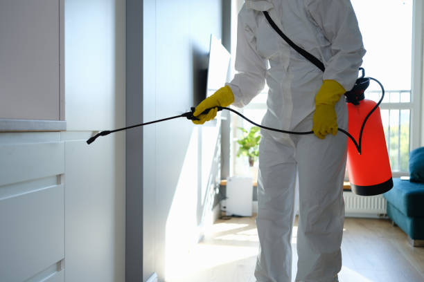 Best Fast Mold Removal  in Weston, NJ