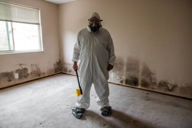 Best Mold Testing  in Weston, NJ